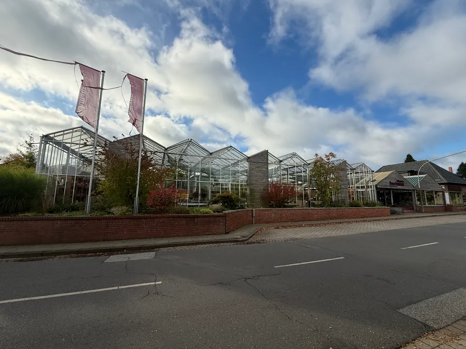 Glasgewächshäuser einer Gärtnerei mit herbstlicher Bepflanzung, Backsteinmauer und zwei Fahnen an einer Straße